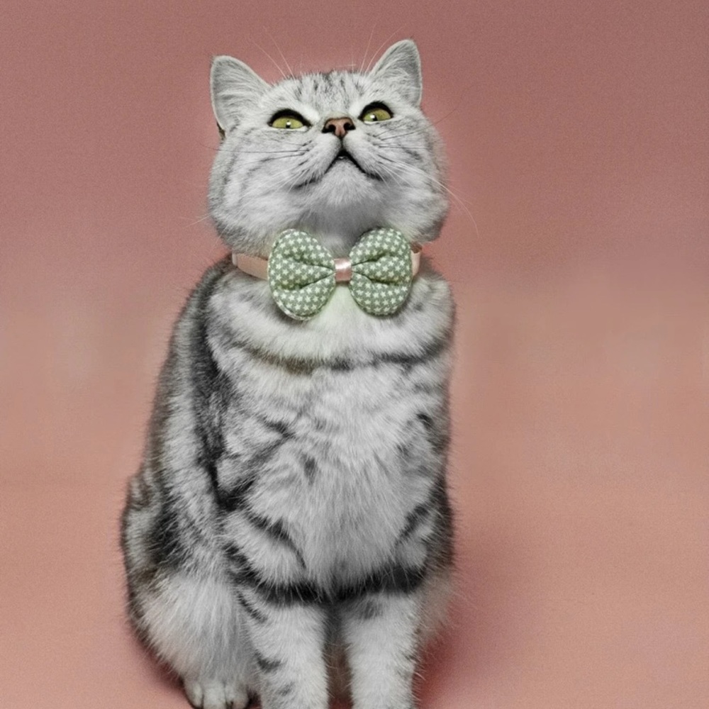 🐈 Adorable Kitty Cat Stars Bow Tie 🐈